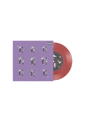 drivers license / burning down the house 7" vinyl